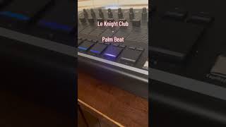 Le Knight Club  Palm Beat Sample Played on the S2400 SP1200 Clone [upl. by Lynd957]