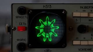 Shrooms on N313 soviet oscilloscope [upl. by Ednihek]