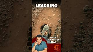 Leaching Process in Ecosystem  Ecosystem  Class 12th Biology  NEET BIOLOGY  neet biology [upl. by Irrej]