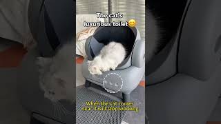 Automatic litter box CatProducts catcatlitterbox Petproducts couple neakasa Raisecats [upl. by Airom929]