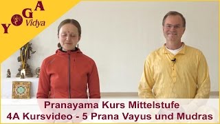 4A Pranayama Kurs Mittelstufe  Die 5 Prana Vayus und Mudras  Kursvideo [upl. by Uund168]