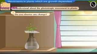 To understand about phototrophic movement plants  Class 10 Biology sciencewallah267 [upl. by Riba]