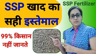 All about ssp fertilizer  single super phosphate fertilizer  single super phosphate price  ssp [upl. by Newton]