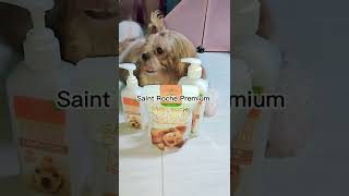 Best Shampoo and Conditioner for Dogs  Saint Roche Premium [upl. by Aiset]