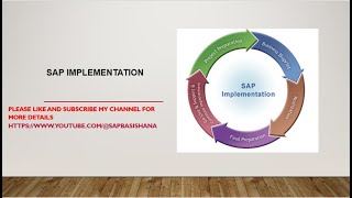 SAP Implementation Project  Explaining [upl. by Pearlstein]