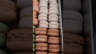 A glimpse of our bake sale bakery macaron [upl. by Eboh830]