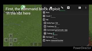 Nbt Bucket exploit custom entities works in 116 [upl. by Laurie674]