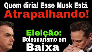 QUEM DIRIA BOLSONARISMO MUSK ATRAPALHA DIREITA EM BAIXA CANDIDATOS DO PL ESTELIONATODESESPERO [upl. by Ailb]