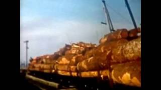 Trip to the Chemainus log dump by MacMillan Bloedel locomotive 1044 in the late 1960s [upl. by Avihs216]