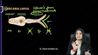 Microbiology  Trematode [upl. by Sset]