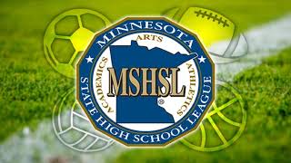 Willmar vs New Ulm  MN MSHSL Football Live Stream [upl. by Duax]