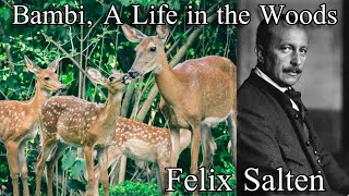 Bambi A Life in the Woods  Complete Audiobook by Felix Salten 1928 [upl. by Christis638]