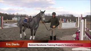 Part 2 of the Retired Race Horse Thoroughbred Training Project with Eric Dierks [upl. by Vijar]