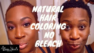 COLORING NATURAL HAIR  NO BLEACH HAIR DYE  L’OREAL HiCOLOR FOR DARK HAIR ONLY [upl. by Maude182]