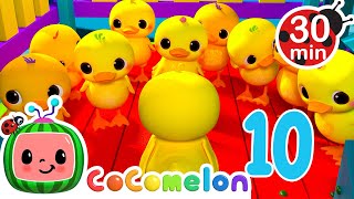 Count the Ten Little Duckies  CoComelon Animal Time  Learning with Animals [upl. by Longley839]