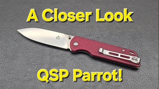 A Closer Look QSP Parrot Another Kenman Deep Dive [upl. by Naillig]