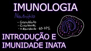 Aula Imunologia  Introdução e Imunidade Inata Inespecífica  Imunologia 1 [upl. by Alane]