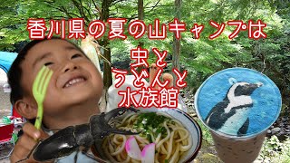 香川県で夏のファミリー山キャンプはこんな感じ TaTuTaの森 [upl. by Koffman]