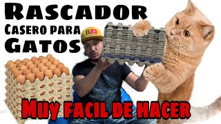 Rascador para Gatos CASERO HECHO CON CUBETAS DE HUEVOS [upl. by Aciret]