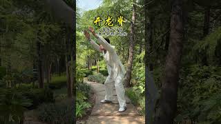 Taichi Exercise qigong kungfu taichi dance [upl. by Ahsinauj]