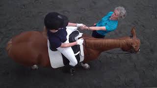 Giving With The Hand  Dressage Training [upl. by Godber]