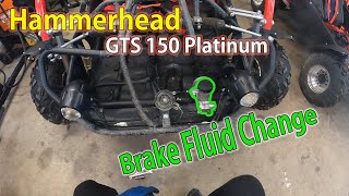 Hammerhead GTS 150 Platinum  Brake Fluid Change [upl. by Brnaby990]