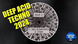 Acid Synthesis  303 Sunrises Planet 303 2024 Deep Acid Techno [upl. by Mail381]