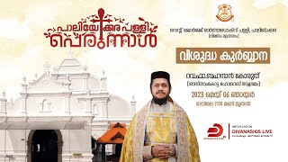 Holy Qurbana  Rev Fr Bahanan Koruth  St George Orthodox Church Paliakkara  LIVE [upl. by Leventis]