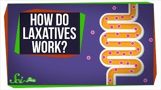 How Do Laxatives Work [upl. by Ahseei]