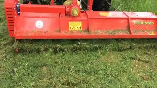 Flail mower FARM  Del Morino [upl. by Aliban]