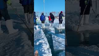 Ice farming Norway ytshort shots [upl. by Novick239]