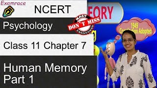 Human Memory Stage Model Working Memory LTM amp Types NCERT Class 11 Psychology Chapter 7 Part 1 [upl. by Rayner]