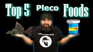 My Top 5 Favorite Pleco Foods [upl. by Pyszka]