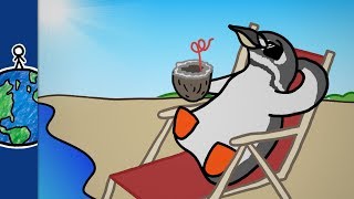 Why Are There Penguins At The Equator [upl. by Retsehc]