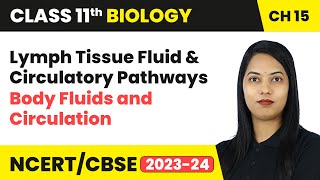 Lymph Tissue Fluid amp Circulatory Pathways  Body Fluids and Circulation  Class 11 Biology Ch 15 [upl. by Nnayr]