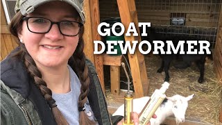 DEWORMING GOATS 🐐 [upl. by Aiepoissac]