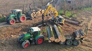 Taglio e Cippatura Piante  3x ESCAVATORI  Fendt  John Deere  XXL WOOD CUTTING [upl. by Yul]