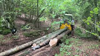 Forestry 2023  Deutz DX 85  Uniforest 55 Hpro  Stihl 044 [upl. by Morrell]