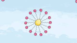 Comment lave le savon   Curionautes des sciences [upl. by Sherard]