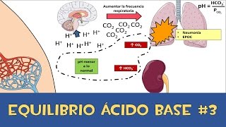 Equilibrio ácido base 3 💉 Amortiguador respiratorio y renal [upl. by Otxilac630]