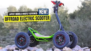 Top 8 Electric Scooters Ranked by Pricing and OffRoad Capabilities in 2020 [upl. by Courcy]