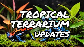 Stunning ExoTerra Frog amp Co Terrarium Updates [upl. by Kwan502]