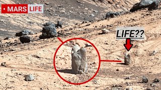 NASA Mars Rover Perseverance Sent Shocking 360° Footage of Mars Life Curiosity Rover Mars in 4K [upl. by Tutt200]