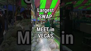 Largest swap meet in Vegas 🔥 vegas thingstodoinvegas streetfood swapmeet vegaslocals [upl. by Atenahs]