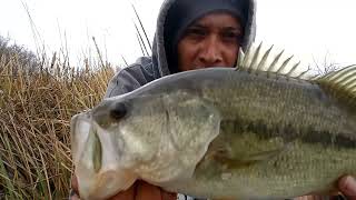 Lake Ozzie Cobb Winter Bass Fishing [upl. by Doowron126]