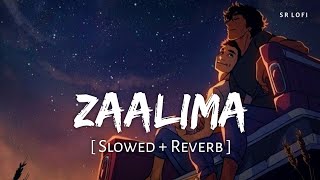 Stereo Hearts x Zaalima Hindi x English Mashup [upl. by Ecinue13]