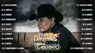 1 Hora De Puros Corridos De Caballos De Grupo Laberinto  Corridos Exitos Mix Lo Mejor de Lo Mejor [upl. by Natsreik705]