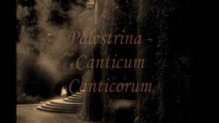 Palestrina  Canticum Canticorum [upl. by Charita774]