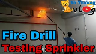 Testing sprinkler and drencher fire drill  Good Tips [upl. by Nayllij304]