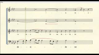 quotSicut Cervusquot by Palestrina bass part [upl. by Alimat855]